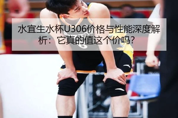 水宜生水杯U306价格与性能深度解析：它真的值这个价吗？ - HTH