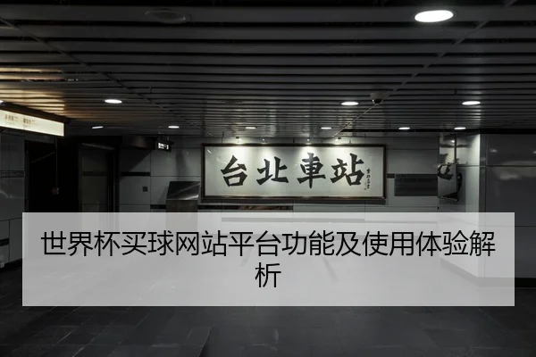 世界杯买球网站平台功能及使用体验解析