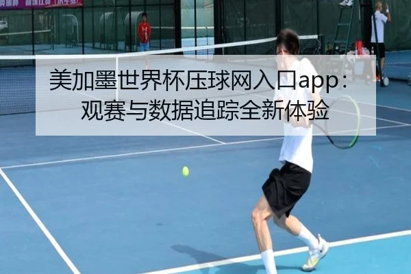 美加墨世界杯压球网入口app：观赛与数据追踪全新体验
